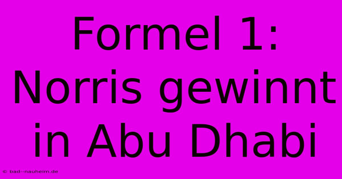 Formel 1: Norris Gewinnt In Abu Dhabi