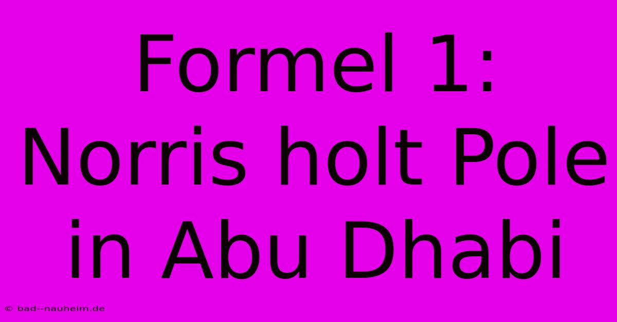 Formel 1: Norris Holt Pole In Abu Dhabi