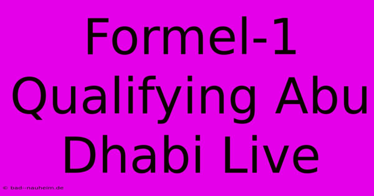 Formel-1 Qualifying Abu Dhabi Live