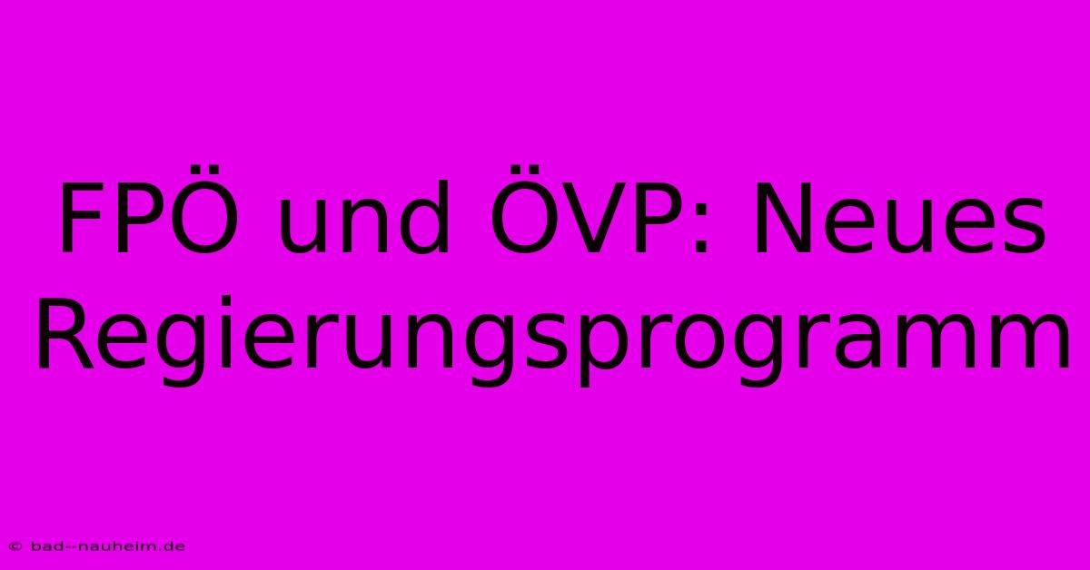 FPÖ Und ÖVP: Neues Regierungsprogramm