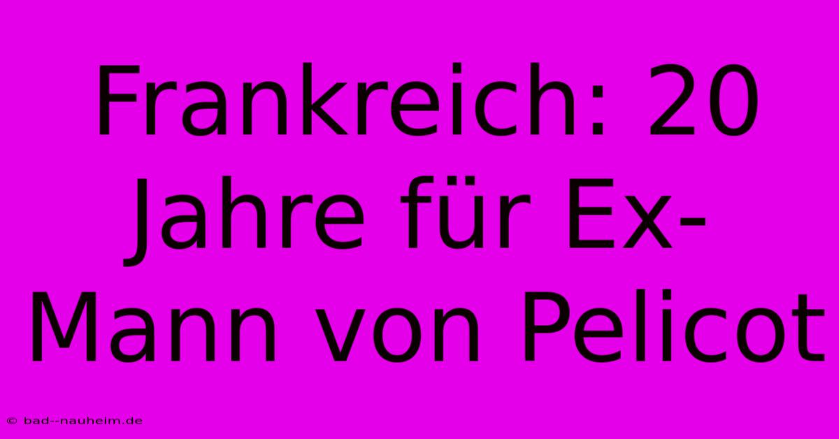 Frankreich: 20 Jahre Für Ex-Mann Von Pelicot