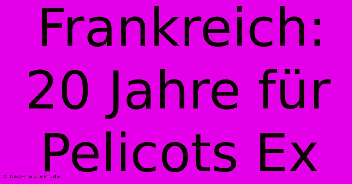 Frankreich: 20 Jahre Für Pelicots Ex