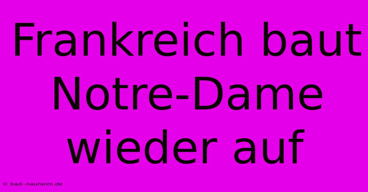 Frankreich Baut Notre-Dame Wieder Auf