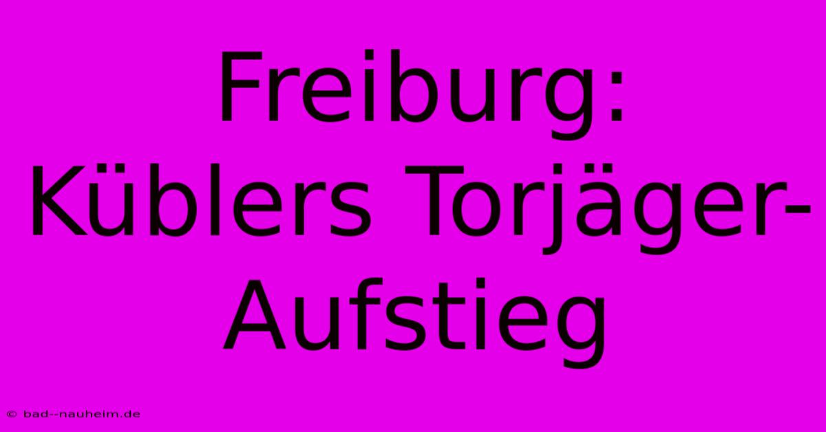 Freiburg: Küblers Torjäger-Aufstieg