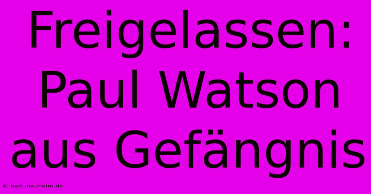 Freigelassen: Paul Watson Aus Gefängnis