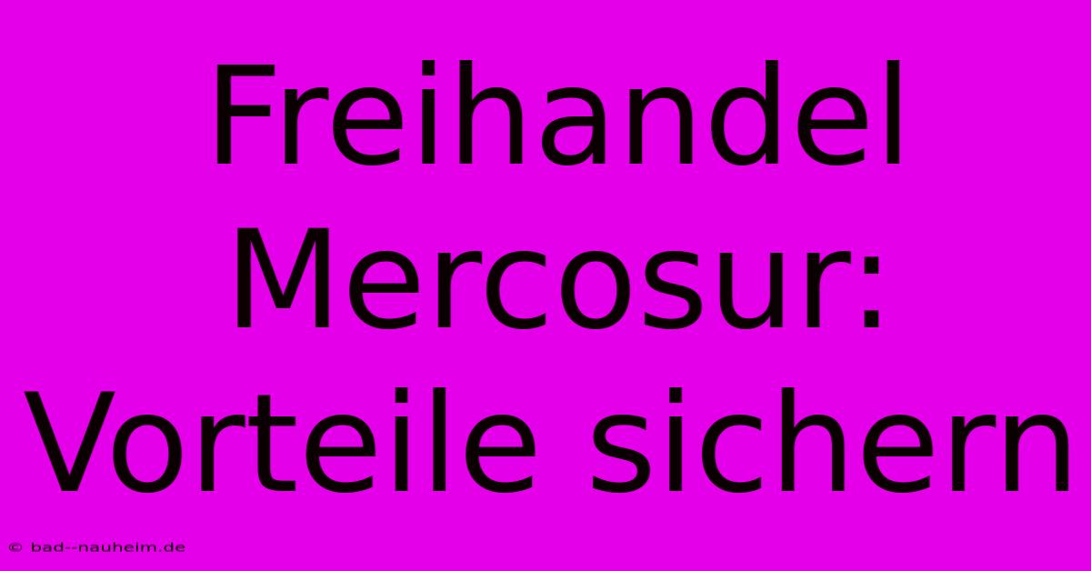 Freihandel Mercosur: Vorteile Sichern