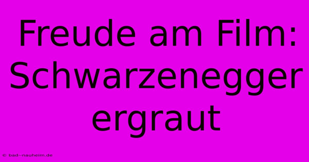 Freude Am Film: Schwarzenegger Ergraut