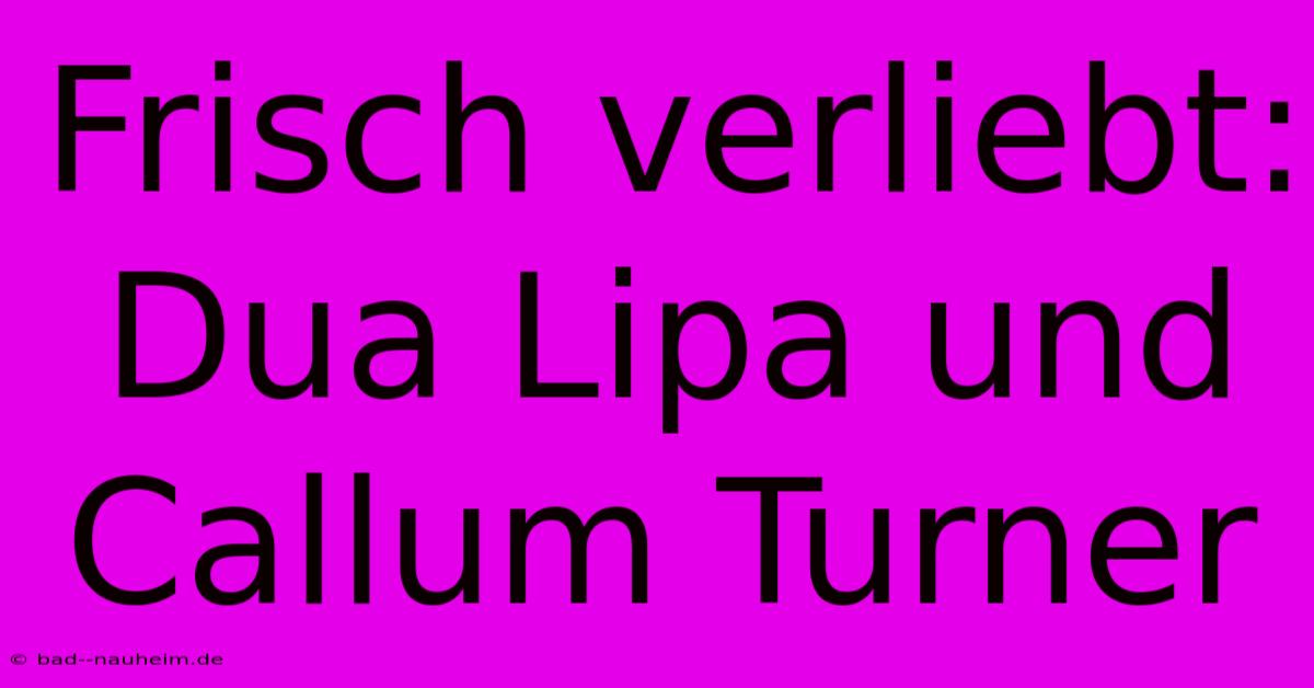 Frisch Verliebt: Dua Lipa Und Callum Turner