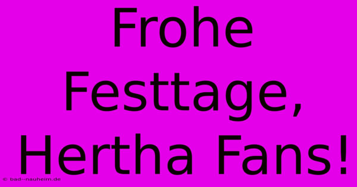 Frohe Festtage, Hertha Fans!