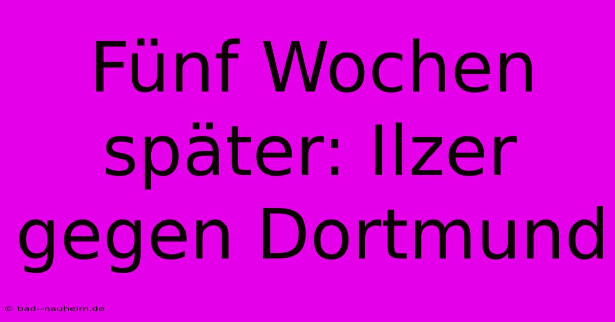 Fünf Wochen Später: Ilzer Gegen Dortmund