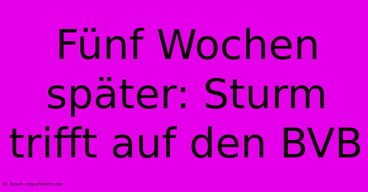 Fünf Wochen Später: Sturm Trifft Auf Den BVB