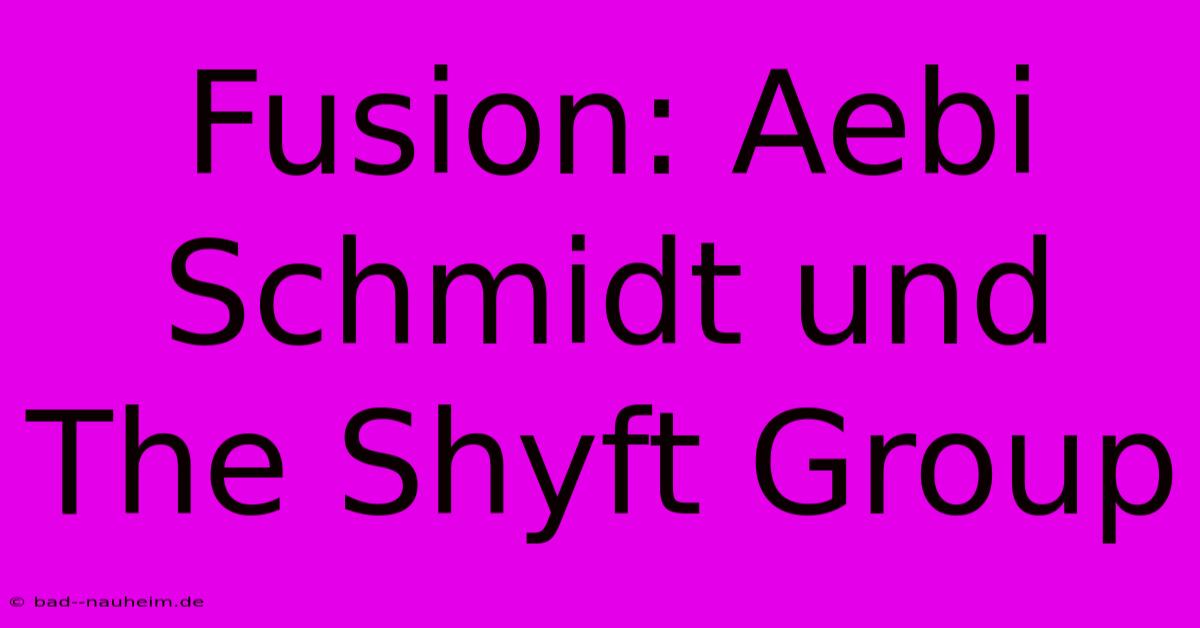 Fusion: Aebi Schmidt Und The Shyft Group