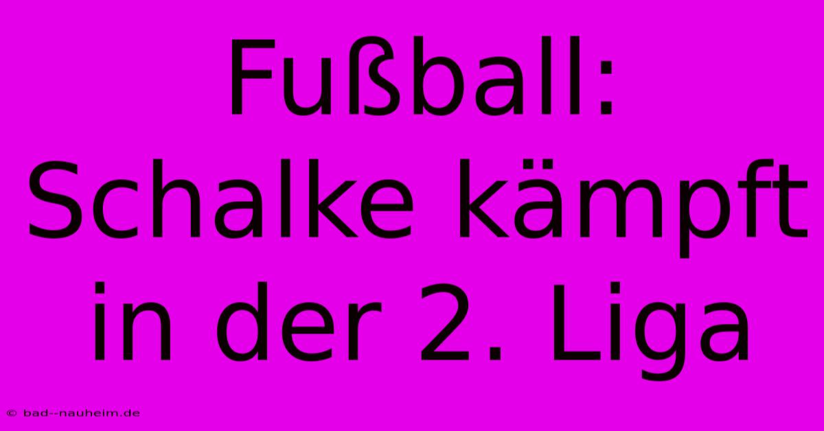 Fußball: Schalke Kämpft In Der 2. Liga