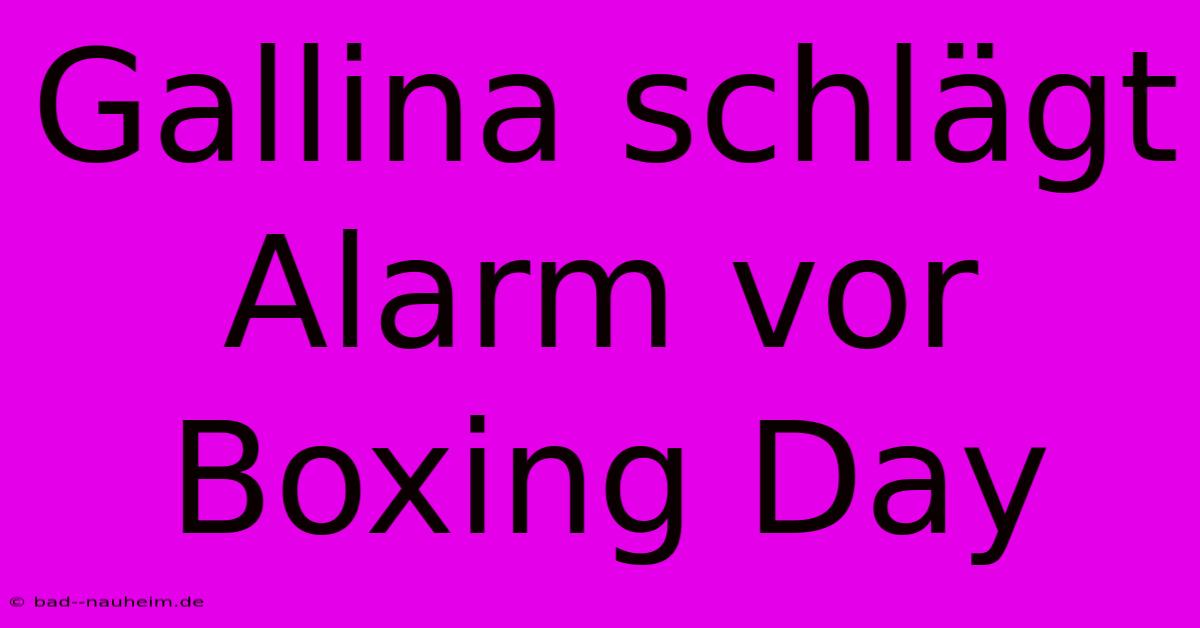 Gallina Schlägt Alarm Vor Boxing Day