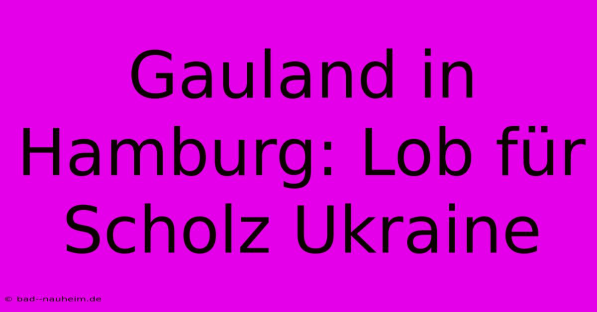 Gauland In Hamburg: Lob Für Scholz Ukraine