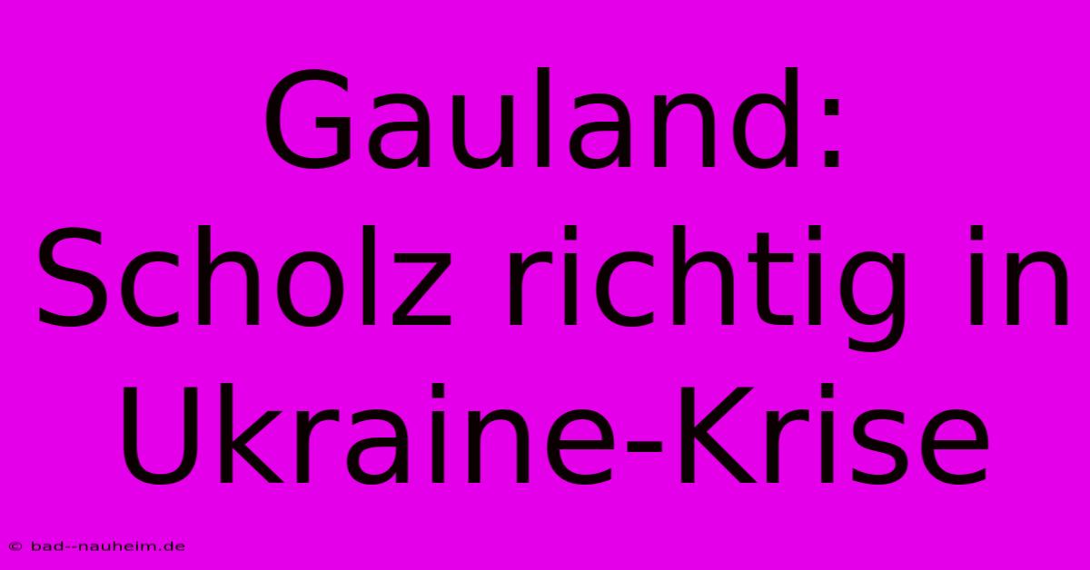 Gauland: Scholz Richtig In Ukraine-Krise