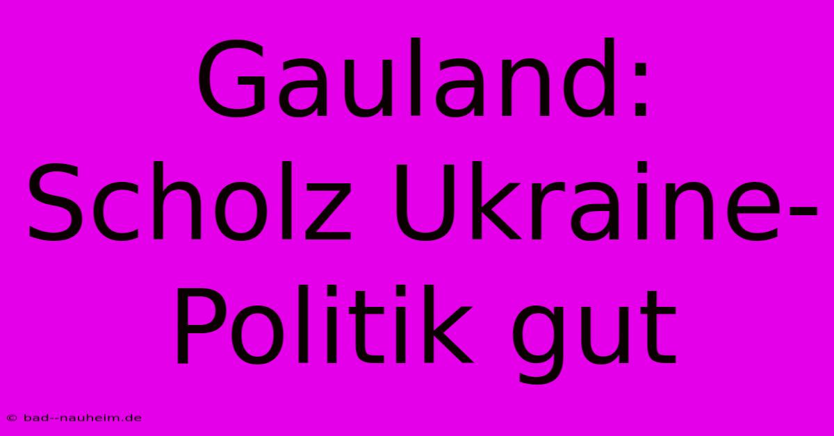 Gauland: Scholz Ukraine-Politik Gut