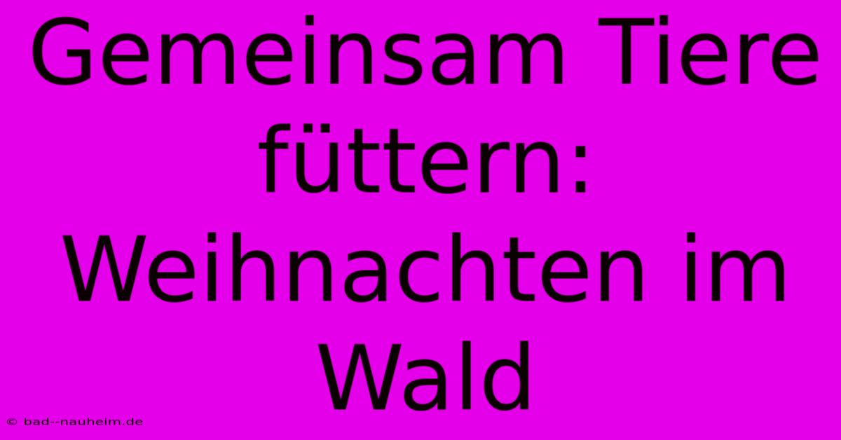 Gemeinsam Tiere Füttern: Weihnachten Im Wald