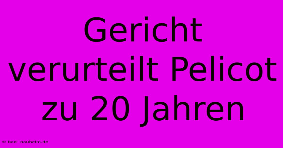 Gericht Verurteilt Pelicot Zu 20 Jahren