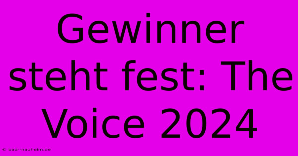 Gewinner Steht Fest: The Voice 2024