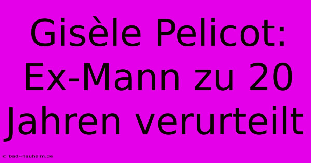 Gisèle Pelicot: Ex-Mann Zu 20 Jahren Verurteilt