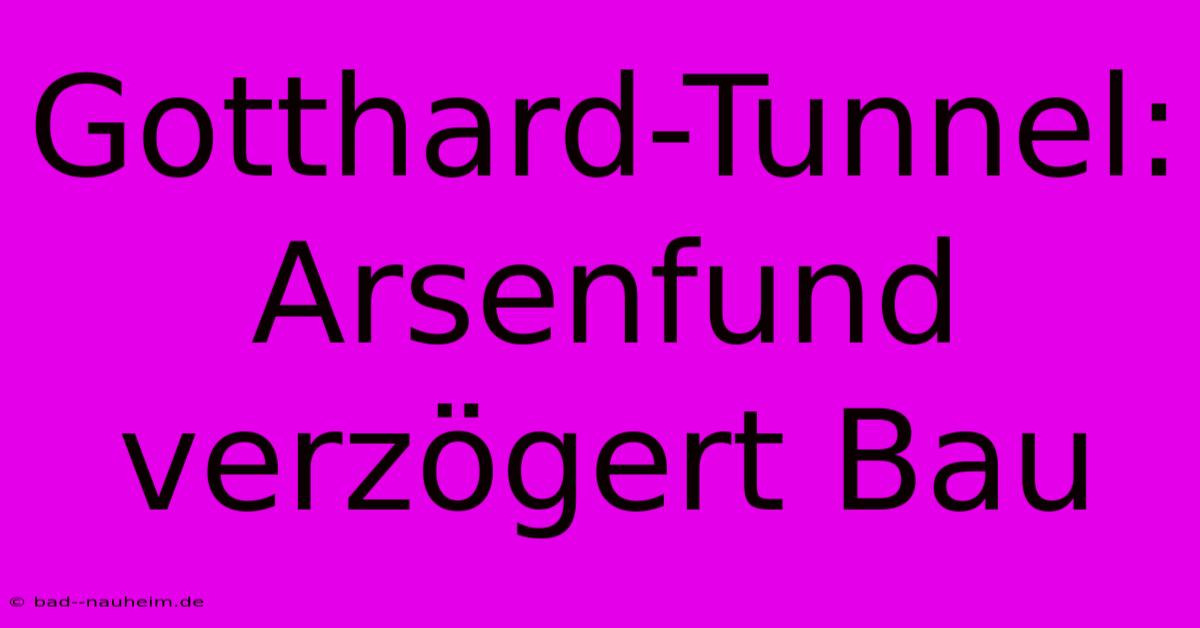 Gotthard-Tunnel:  Arsenfund Verzögert Bau