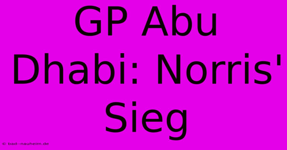 GP Abu Dhabi: Norris' Sieg