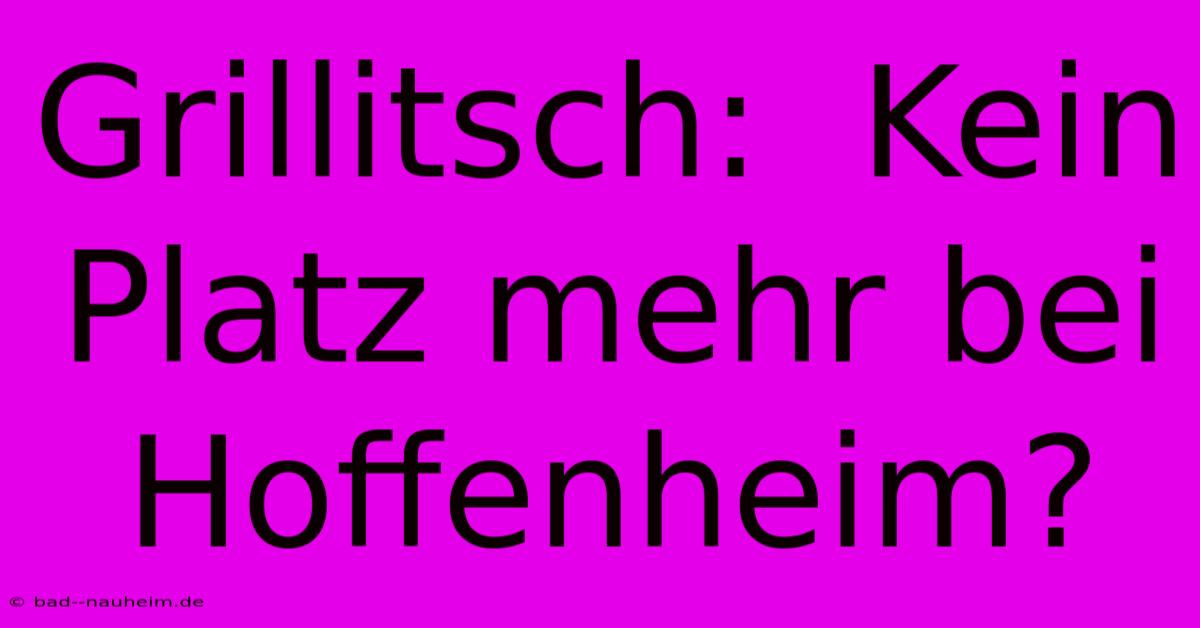 Grillitsch:  Kein Platz Mehr Bei Hoffenheim?