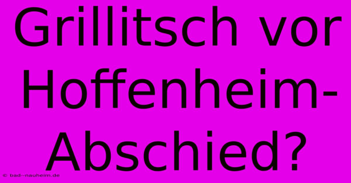 Grillitsch Vor Hoffenheim-Abschied?