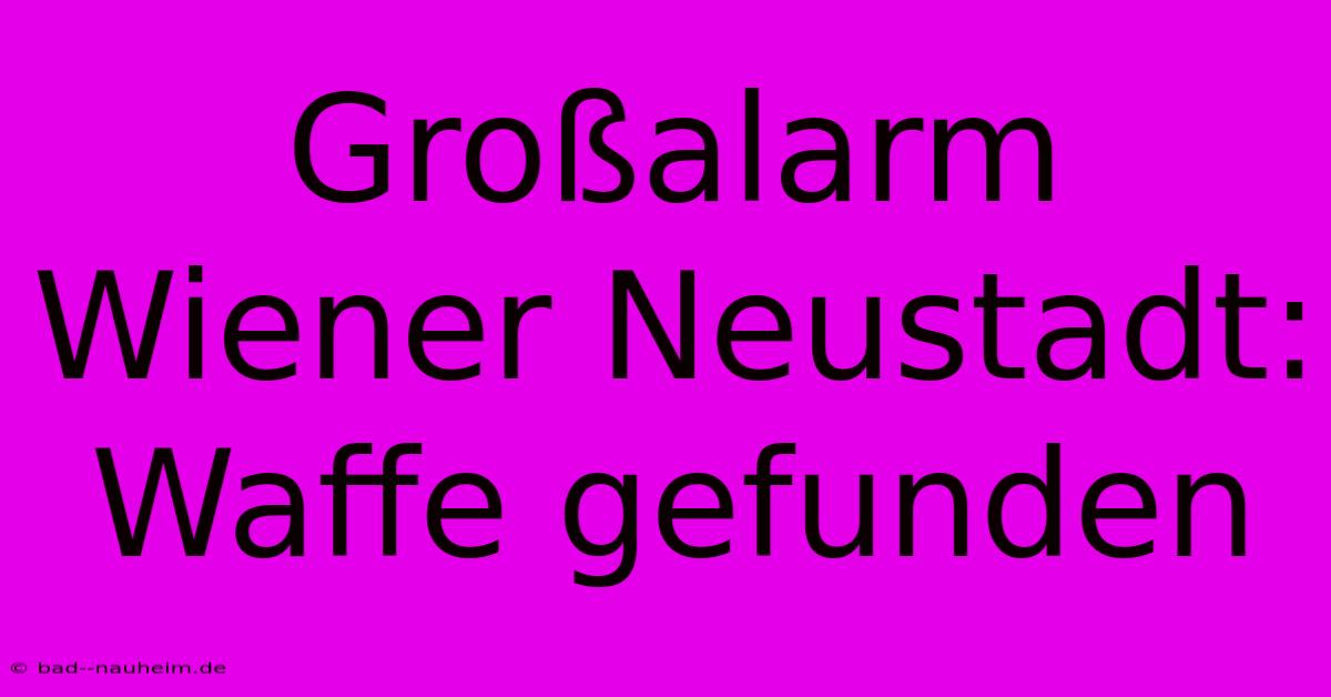 Großalarm Wiener Neustadt: Waffe Gefunden