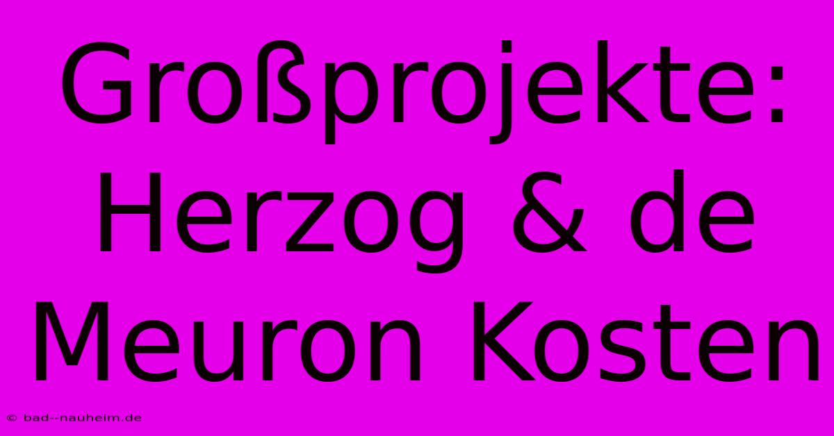 Großprojekte: Herzog & De Meuron Kosten