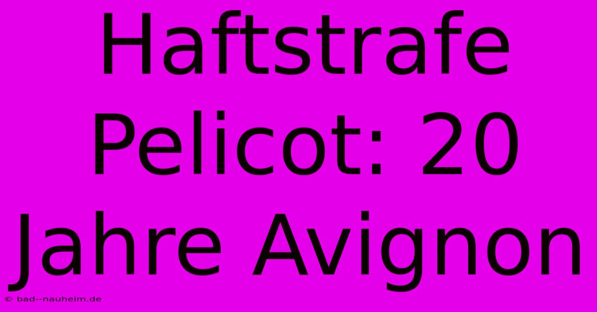 Haftstrafe Pelicot: 20 Jahre Avignon