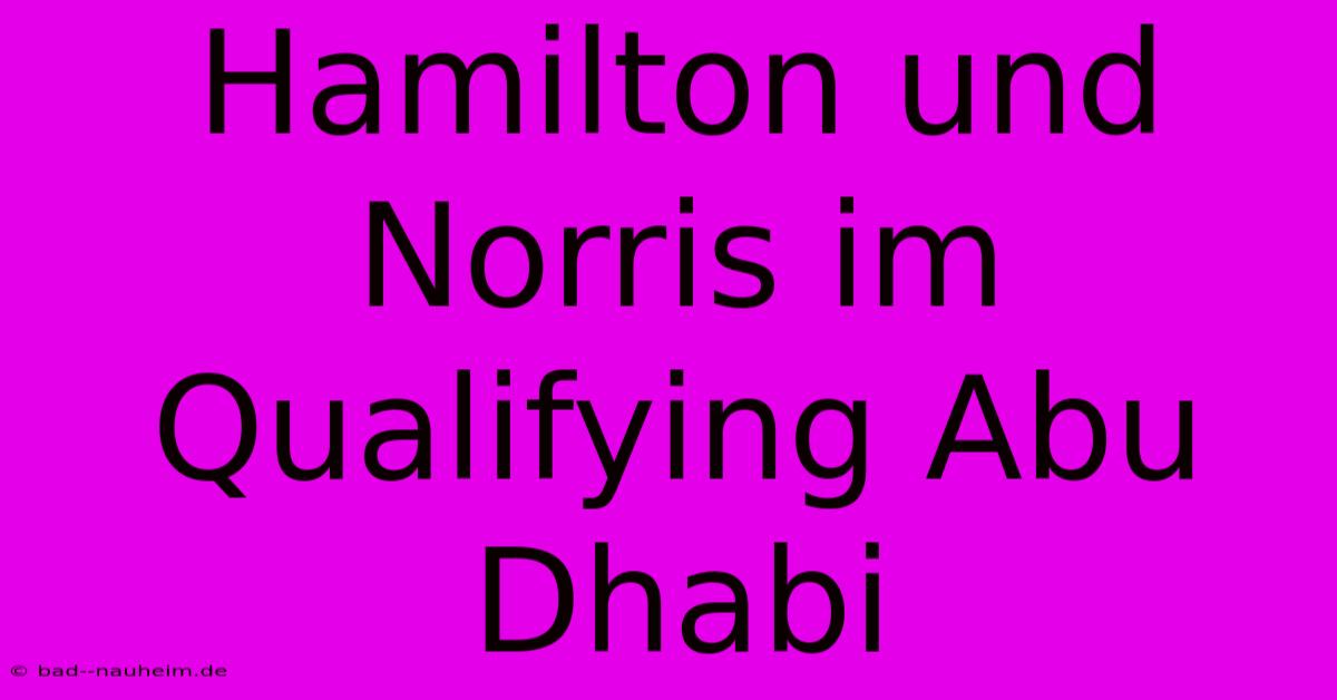 Hamilton Und Norris Im Qualifying Abu Dhabi