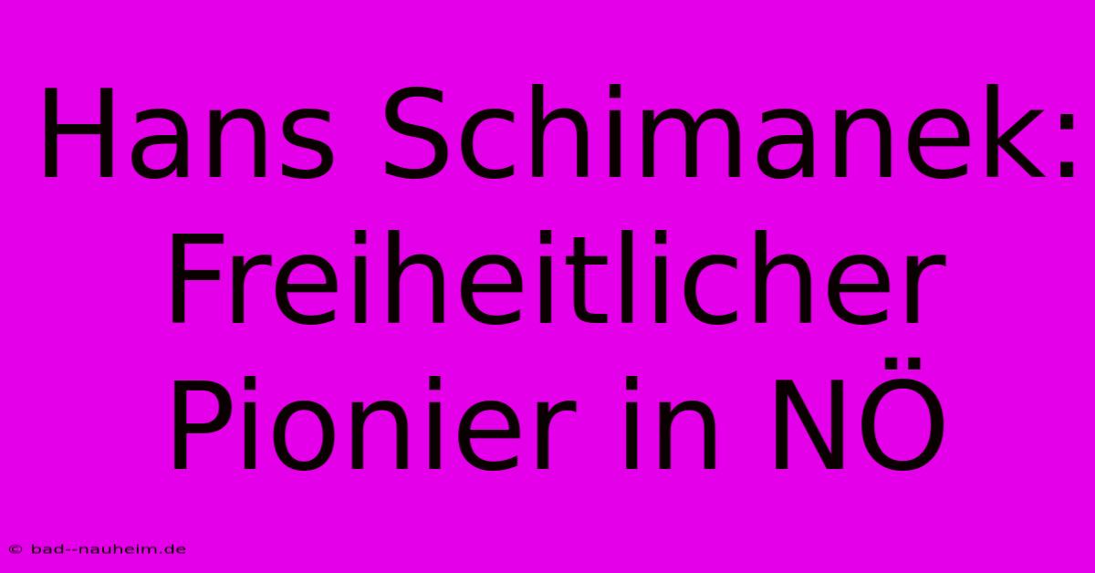 Hans Schimanek: Freiheitlicher Pionier In NÖ