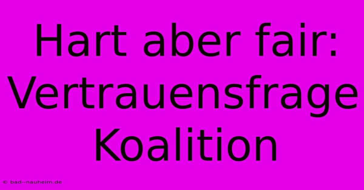 Hart Aber Fair: Vertrauensfrage Koalition