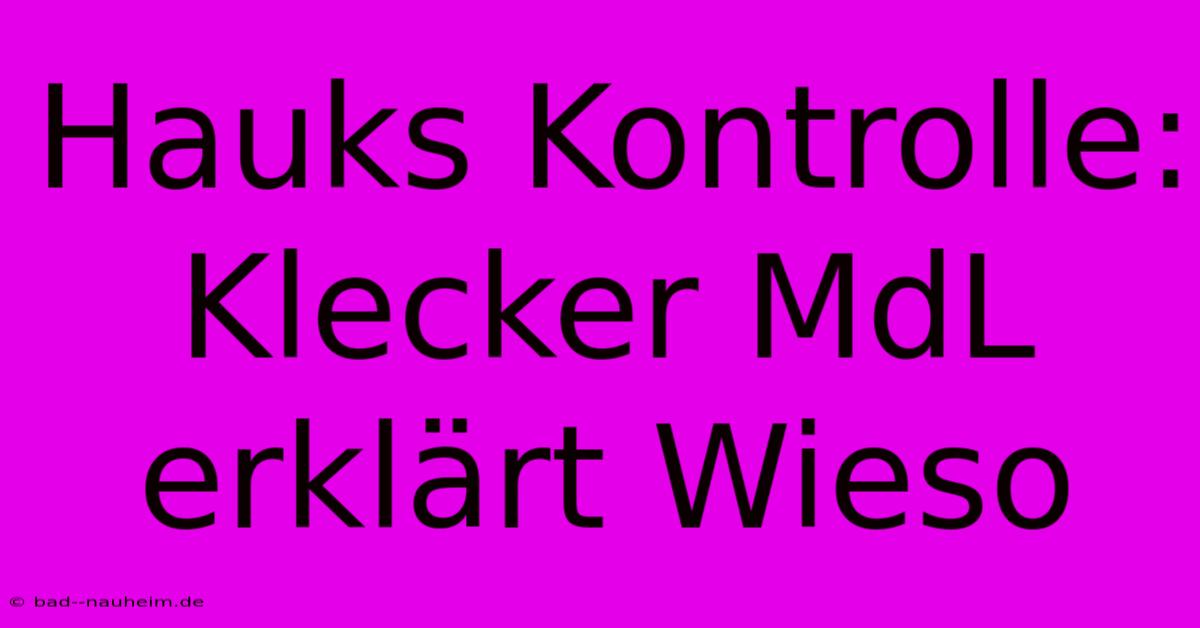 Hauks Kontrolle: Klecker MdL Erklärt Wieso