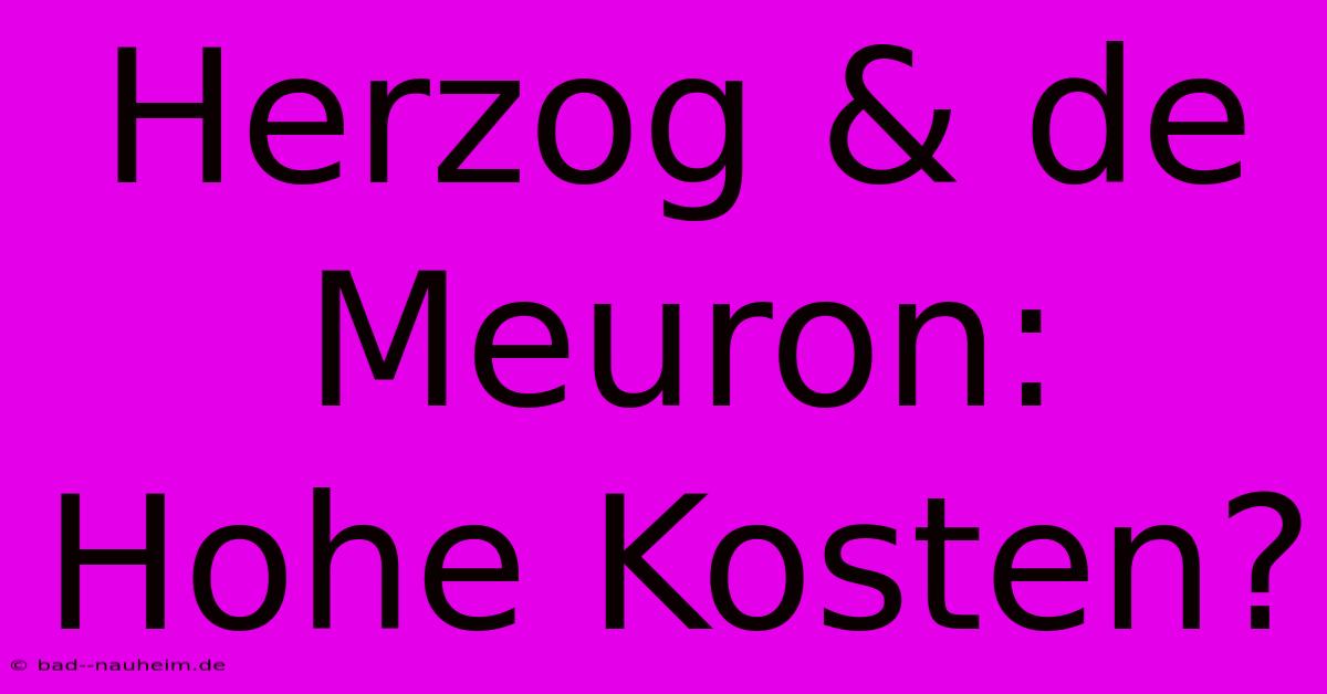 Herzog & De Meuron: Hohe Kosten?