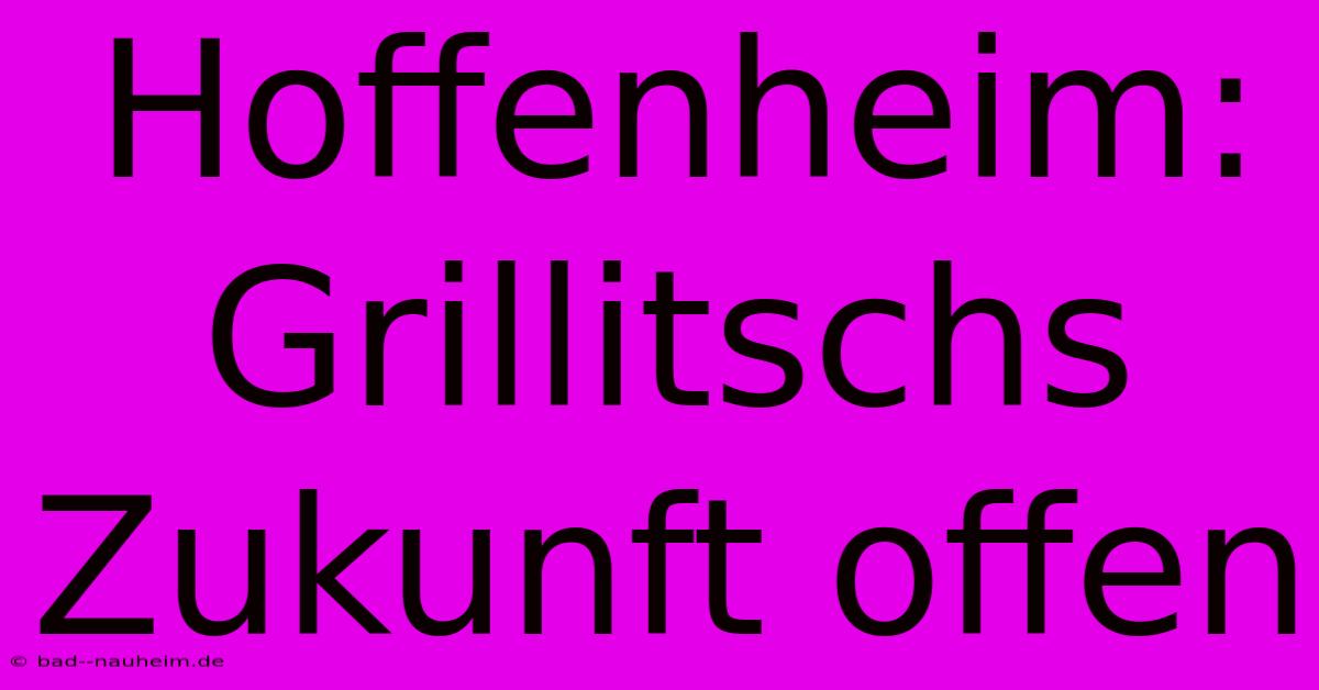 Hoffenheim: Grillitschs Zukunft Offen