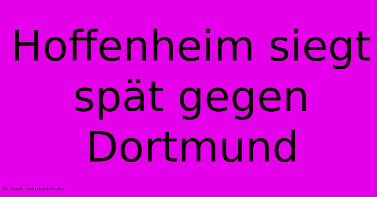 Hoffenheim Siegt Spät Gegen Dortmund