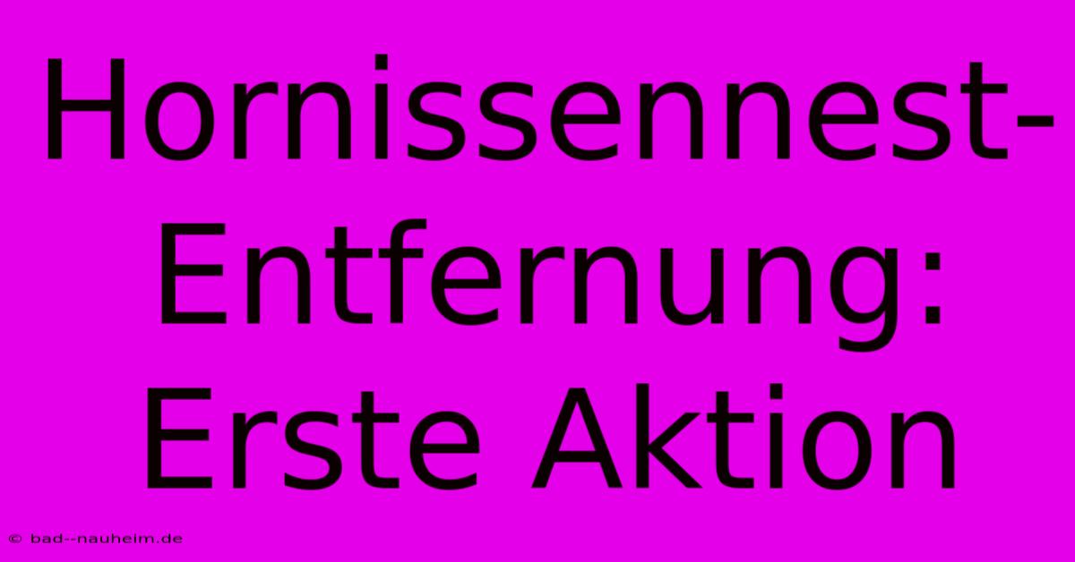 Hornissennest-Entfernung: Erste Aktion