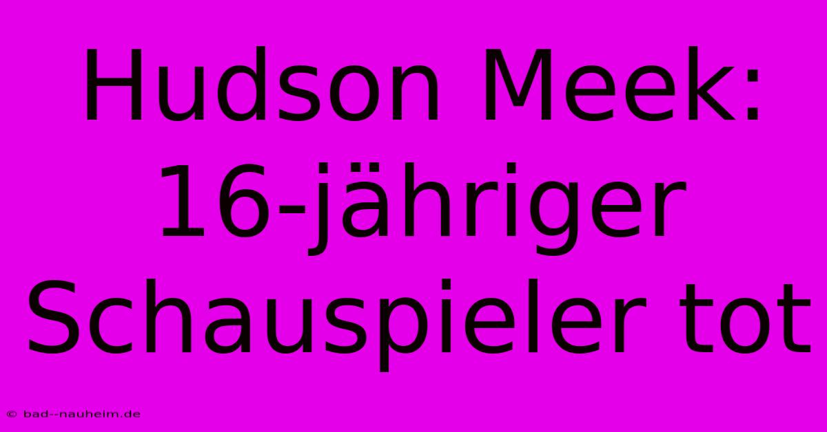 Hudson Meek: 16-jähriger Schauspieler Tot