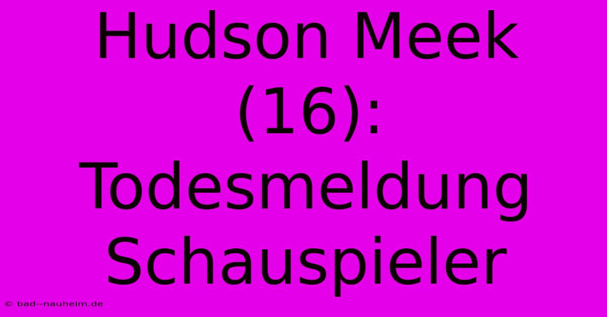 Hudson Meek (16): Todesmeldung Schauspieler