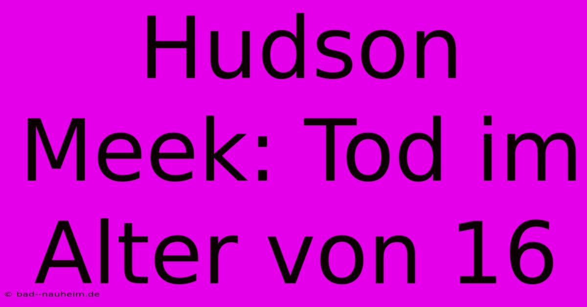 Hudson Meek: Tod Im Alter Von 16