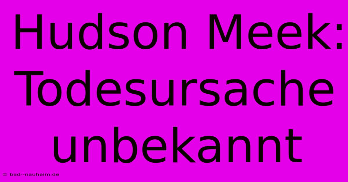 Hudson Meek: Todesursache Unbekannt