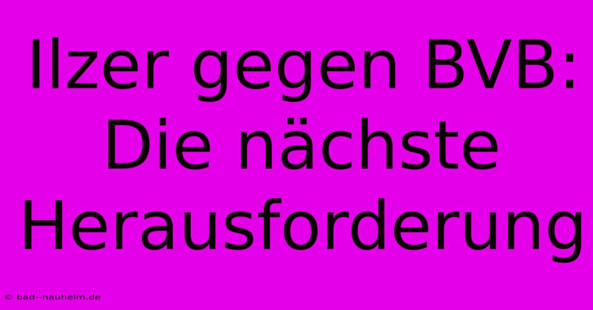 Ilzer Gegen BVB: Die Nächste Herausforderung