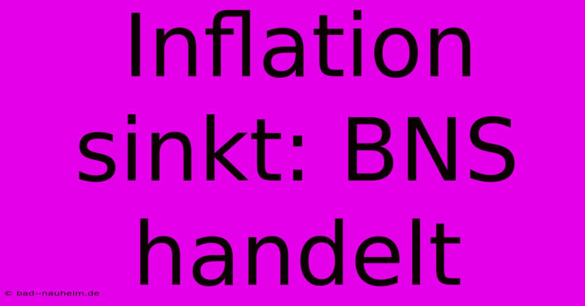 Inflation Sinkt: BNS Handelt