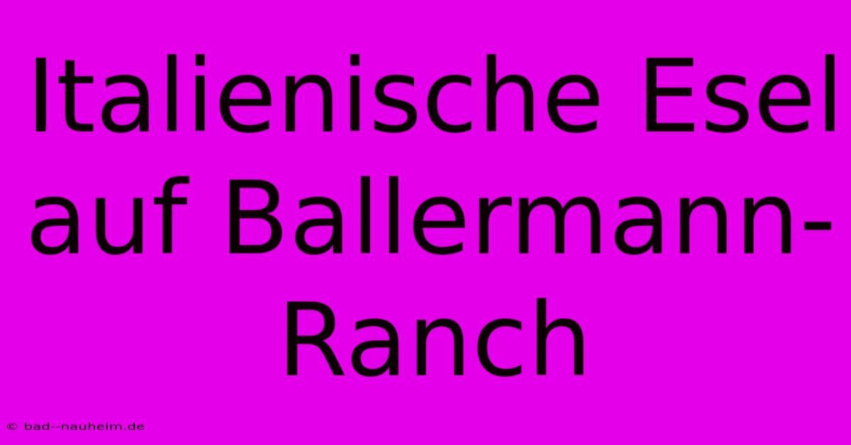 Italienische Esel Auf Ballermann-Ranch