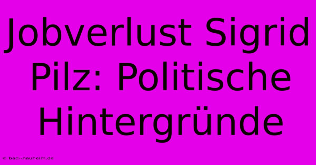 Jobverlust Sigrid Pilz: Politische Hintergründe