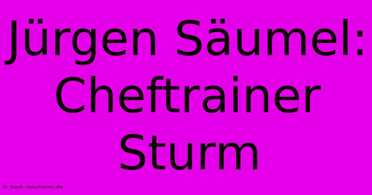 Jürgen Säumel: Cheftrainer Sturm