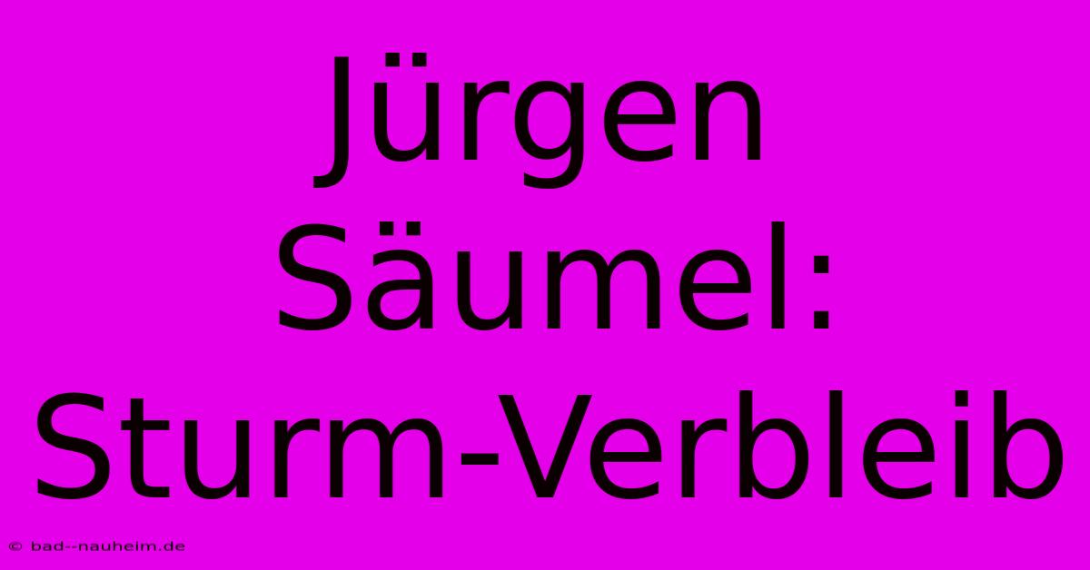 Jürgen Säumel: Sturm-Verbleib